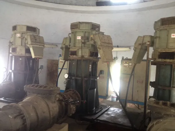 Srivaikundam Dam Water (3)